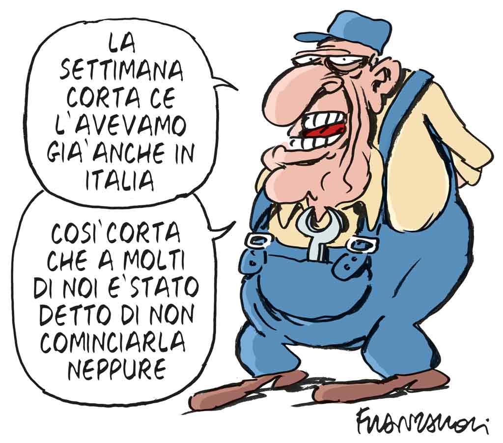 Copertina di La vignetta di Franzaroli