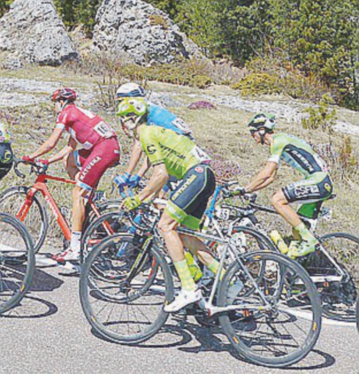 “Se la fai a un vecchio marcio di 25 anni ok, ai bimbetti no…” “Se la fai a un vecchio marcio di 25 anni ok, ai bimbetti no…”