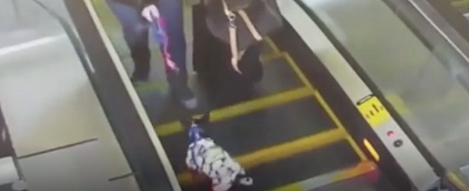 Copertina di Mettete il cappottino al vostro animale? Non è sempre una buona idea. Ecco cosa capita a questo cane