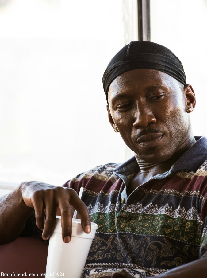 Copertina di Cinema, su Sky due settimane di film in attesa degli Oscar. E il 4 marzo diretta esclusiva della cerimonia