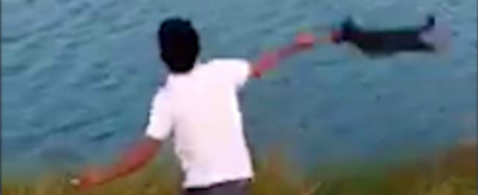 Copertina di Lanciato nel lago pieno di coccodrilli: la fine del cucciolo è segnata. Animalisti insorgono contro il crudele aguzzino