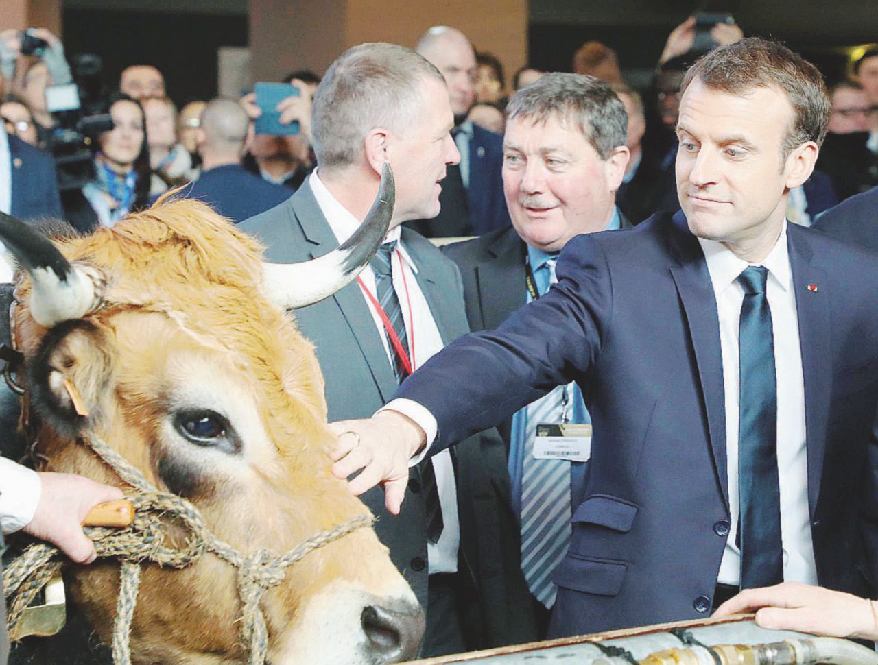 Incontri ravvicinati - Il presidente Macron al Salone dell’Agricoltura: è l’appuntamento più importante del settore - LaPresse Vivere con 350 euro al mese: gli agricoltori contro Macron