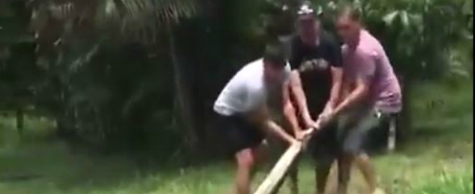 Copertina di Il cane è scomparso, cucciolo di anaconda lo trascina sott’acqua. In tre lottano per salvare la vita del malcapitato