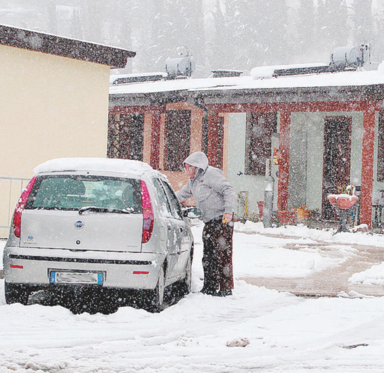 Copertina di Terremotati al gelo. Caldaie rotte e lupi sul bestiame