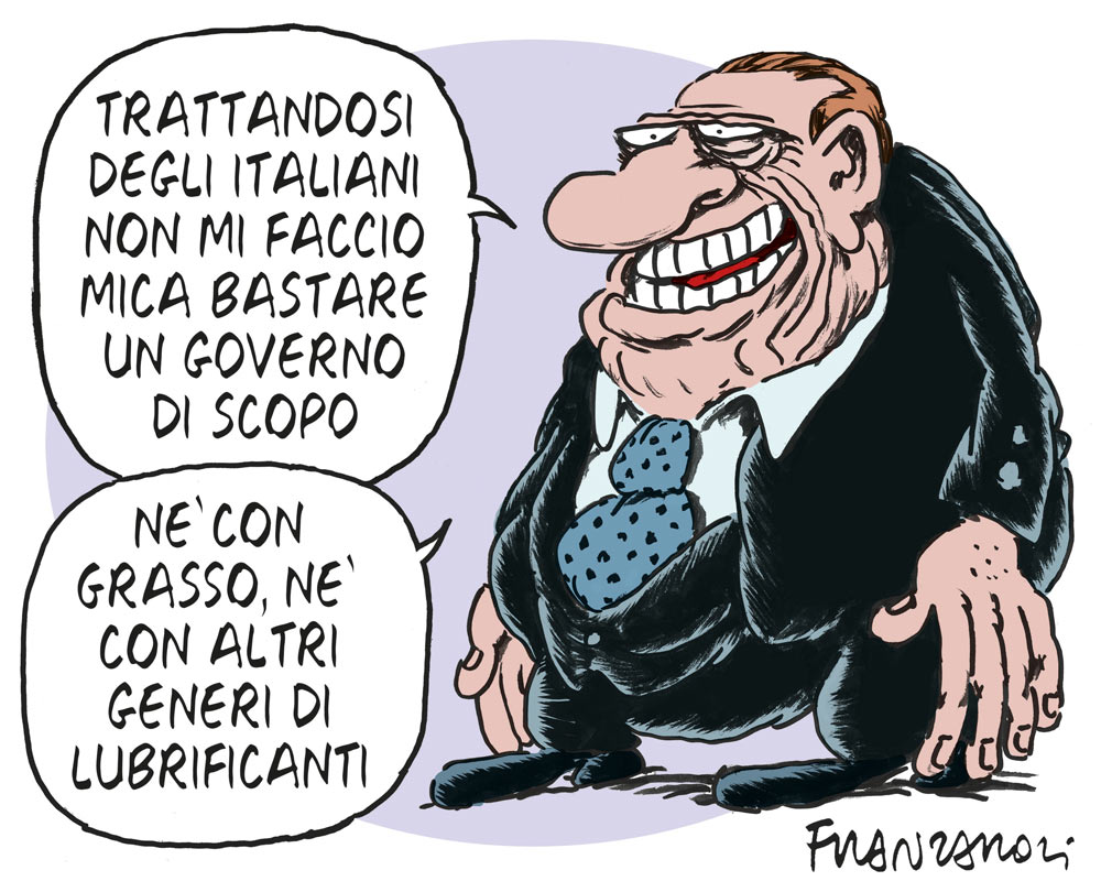 Copertina di La vignetta di Franzaroli