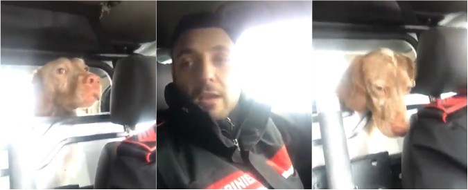 Copertina di Il cane “arrestato” dai Carabinieri, il salvataggio si trasforma in una gag. Il video spopola in rete