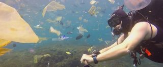 Copertina di Plastica in mare, al via l’iter per la proposta di legge che prevede di ridurre i rifiuti sui fondali con l’aiuto dei pescatori