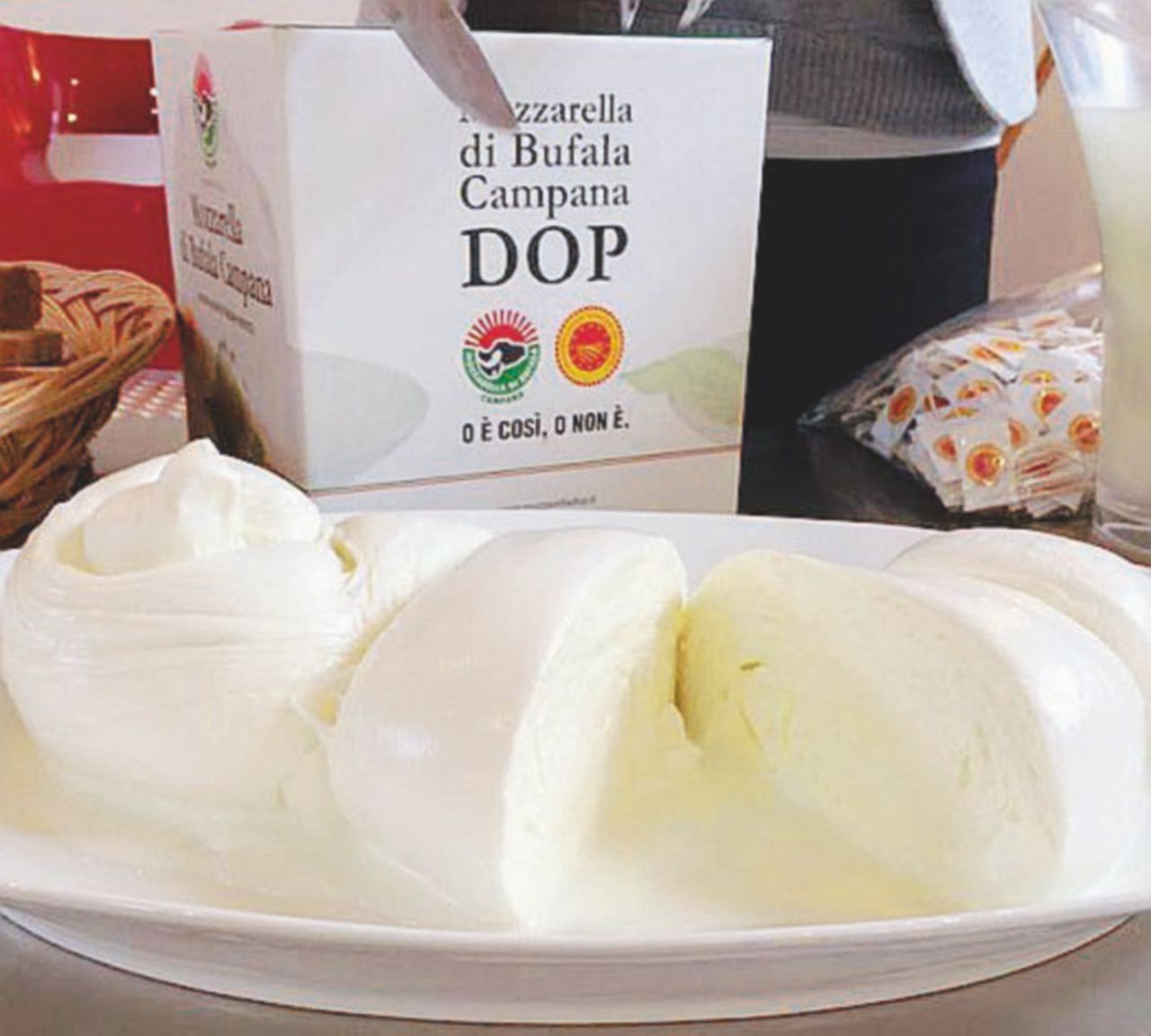 “Rischio mozzarella congelata”. Bufala dop, Consorzio spaccato