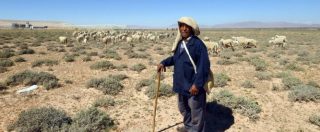 Copertina di Cooperazione, i pastori sardi insegnano il mestiere in Tunisia. “Così si creano condizioni per far tornare chi è emigrato”