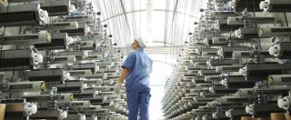 Piccola e media impresa, il fractional management che ripara le aziende italiane