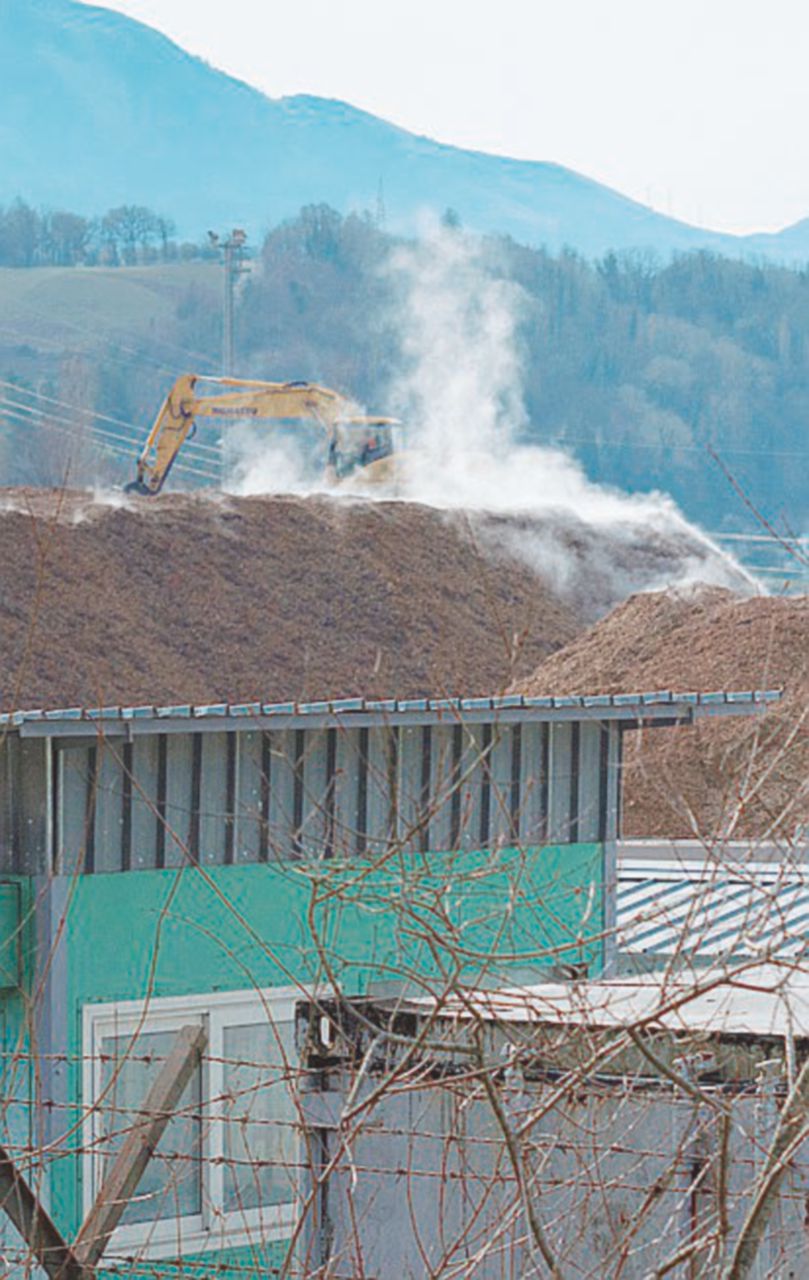 Copertina di La centrale di biomasse che spaventa il Pollino