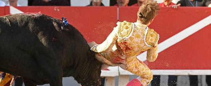 Copertina di Il toro lo incorna dove fa più male e lo sbalza come un birillo. Il torero francese risparmia la bestia