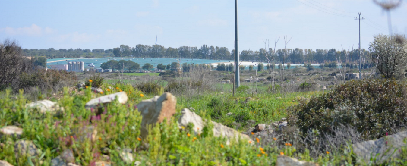 Copertina di Taranto, cittadini e associazioni contro l’ampliamento della discarica di Grottaglie