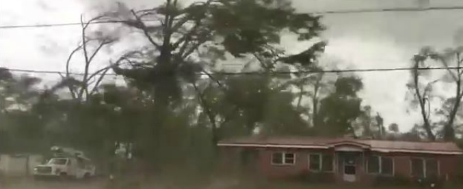 Copertina di Il tornado spezza gli alberi e scoperchia la casa del vicino mentre lui filma tutto. La forza dei venti nel sud del Mississipi