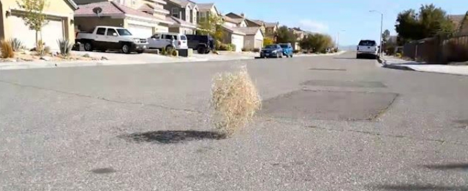 Copertina di Cespugli rotolanti spinti dal vento invadono la città e sommergono le case. Gli abitanti chiamano i pompieri