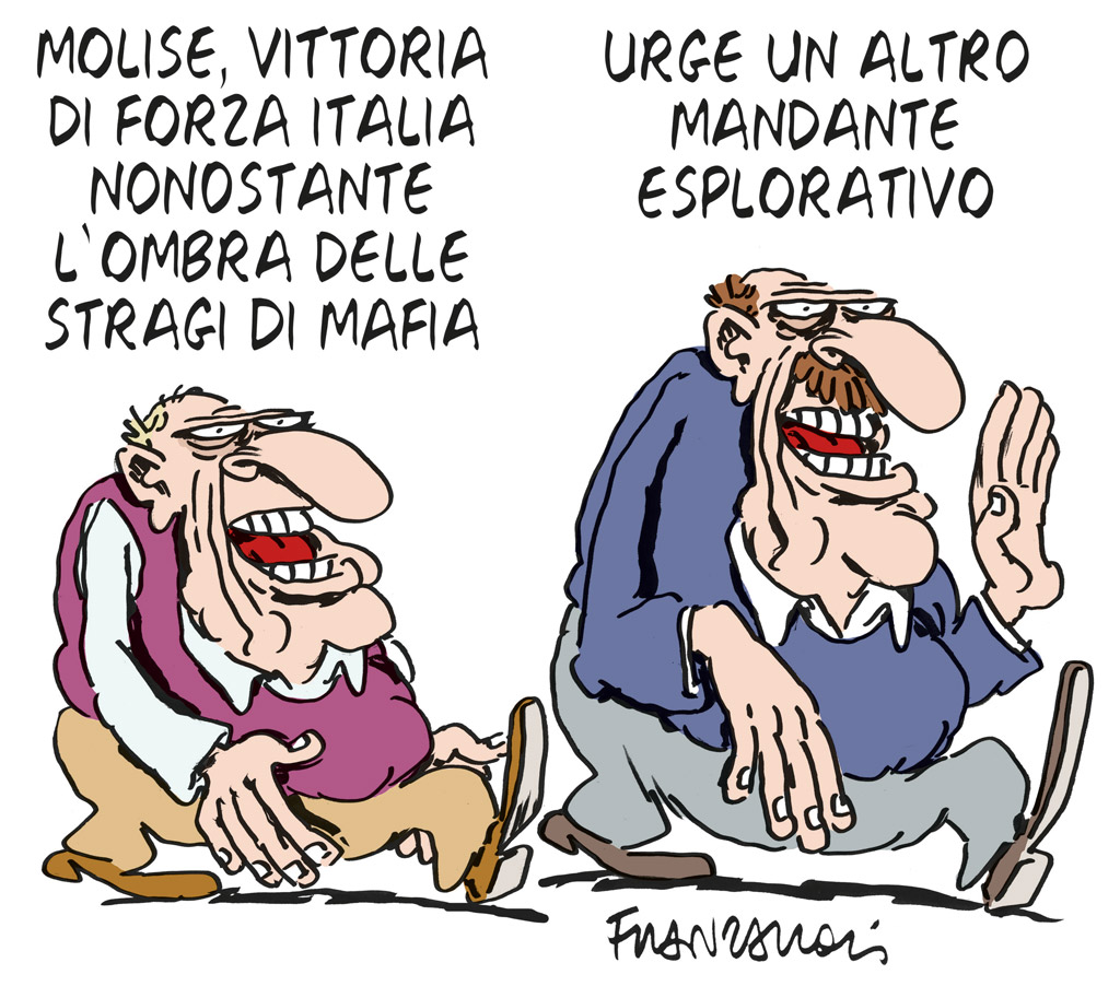 Copertina di La vignetta di Franzaroli