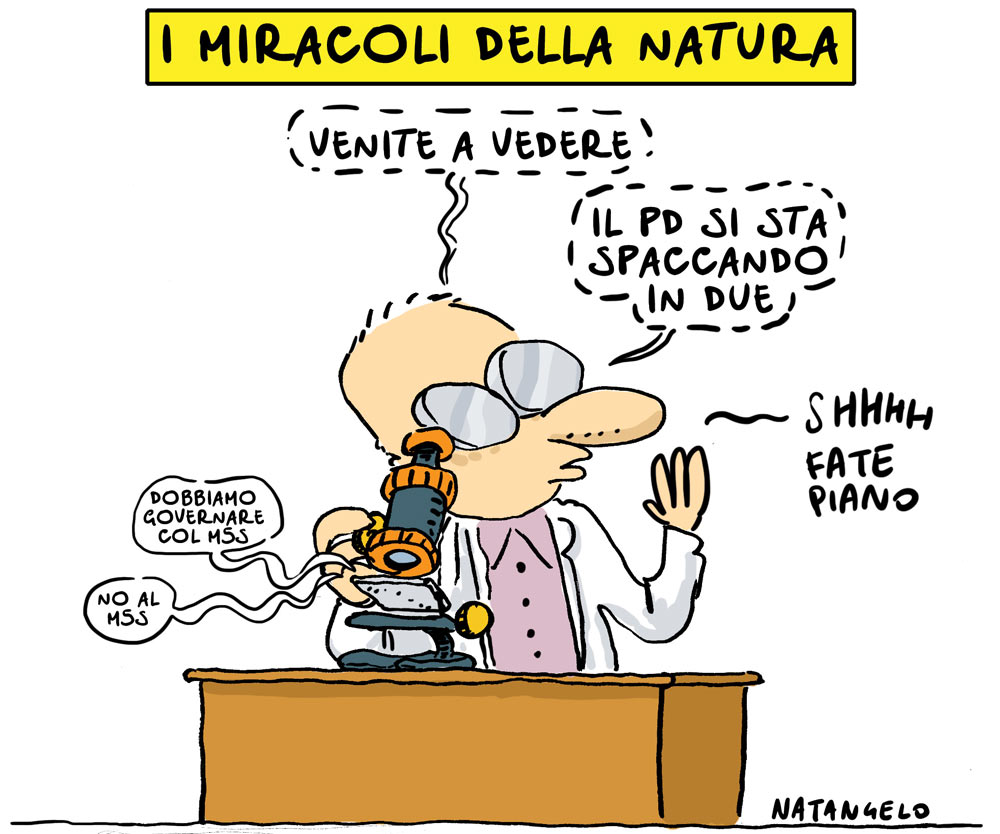 Copertina di La vignetta di Natangelo