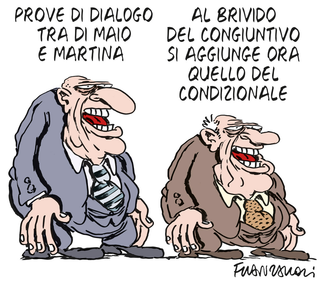 Copertina di La vignetta di Franzaroli