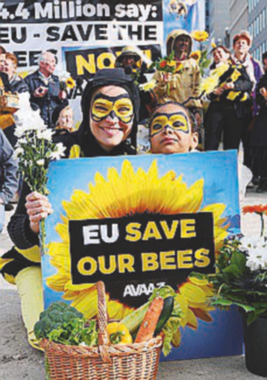 Unione europea, vietati i pesticidi dannosi per le api