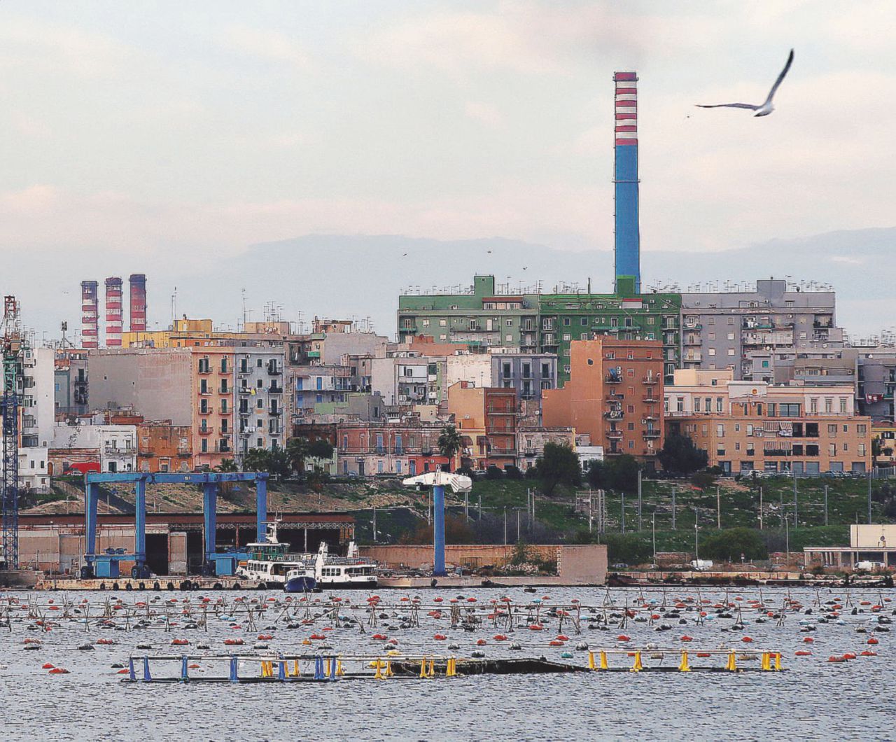 “Questo è un Paese ingiusto in un mondo guidato da ricchi”