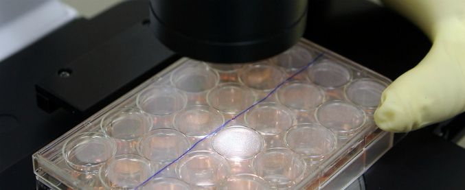 Embrione totalmente artificiale, aperta la strada verso i primi esseri viventi da laboratorio