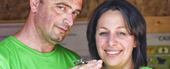 Copertina di Terremoto, l’oasi delle farfalle nei Monti Sibillini: “Così ci rialziamo dalla botta che abbiamo preso”