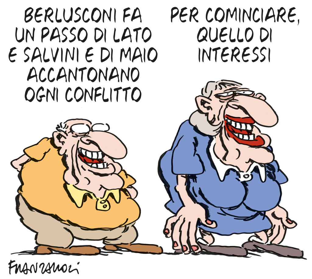 Copertina di La vignetta di Franzaroli