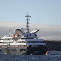 La Silver Galapagos la nave più grande nell’arcipelago: 100 ospiti