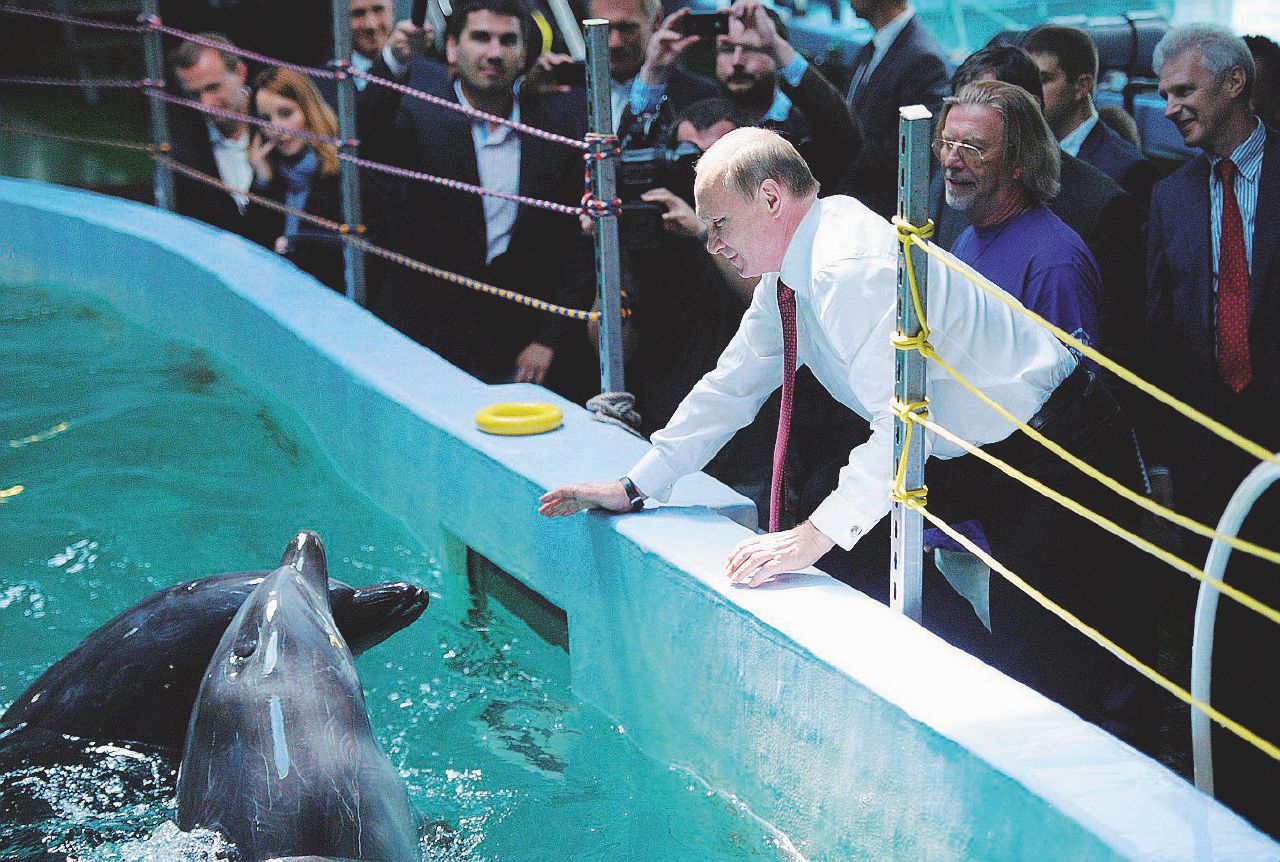 L’armata dei delfini suicidi che rifiutano i nuovi padroni russi