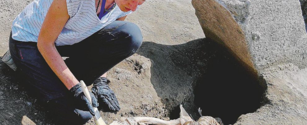 Le scoperte - Lo scheletro è stato trovato nei pressi di Vicolo dei Balconi, nella nuova area in cui si sta scavando - Ansa La gamba zoppa e addio sogni. Così sono morto a Pompei