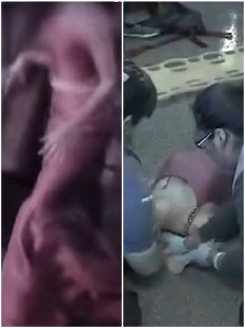 Copertina di Coi tacchi sulla passerella rialzata e in mezzo ai sacchi da boxe: la sfilata di Miss Universo finisce malissimo