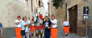 Copertina di Brindisi, incidente durante la processione del Corpus domini: l’arcivescovo scivola dalla sella e cade da cavallo