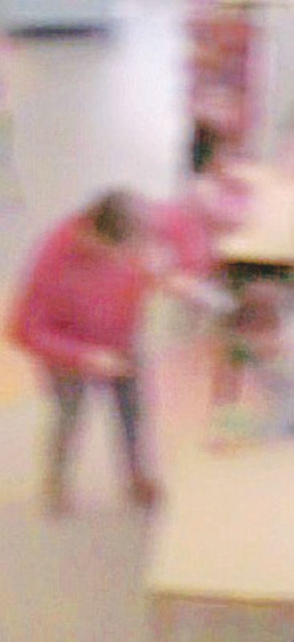 Prospettiva inversa - Sono decine anche i casi di violenza da parte dei professori Il focus: le colpe dei maestri