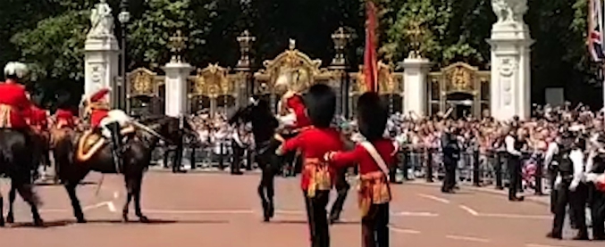 Copertina di Royal Family, l’incidente a Buckingham Palace ferma la festa: ecco cosa è successo a un maresciallo a cavallo