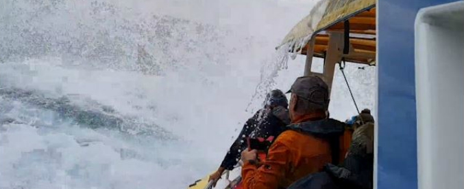 Copertina di Mare calmo, sorrisi e selfie: ma la gitarella di questi turisti diventa un’esperienza indimenticabile. Ecco cosa succede