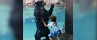 Copertina di L’orso andino imita il bambino: il gioco tra i due è tutto da ridere. Vedere per credere