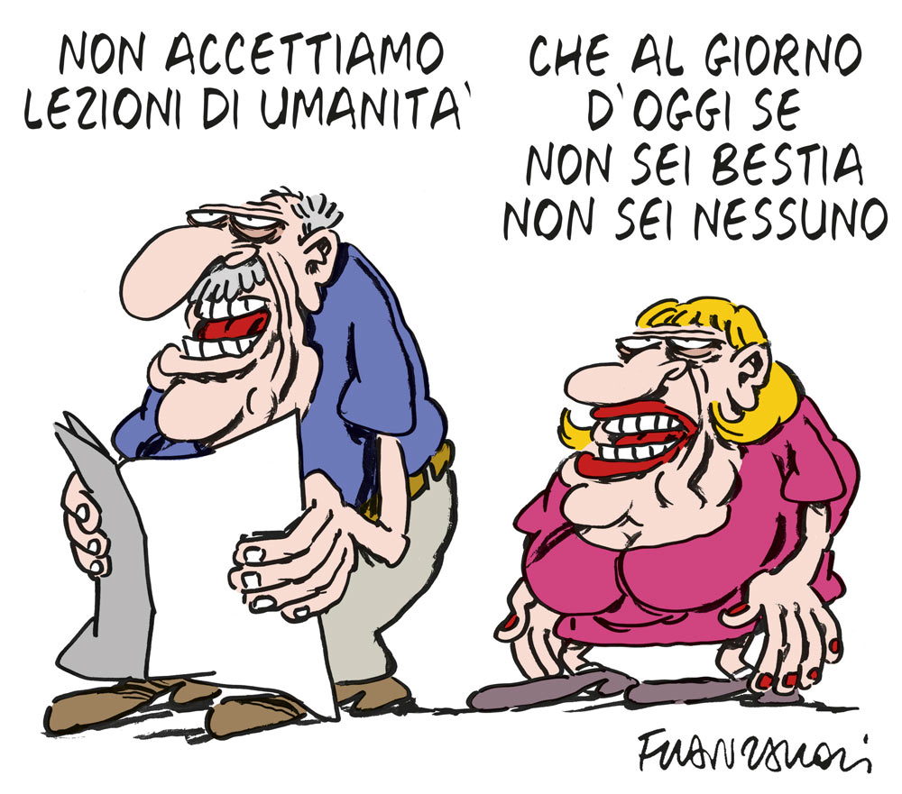 Copertina di La vignetta di Franzaroli