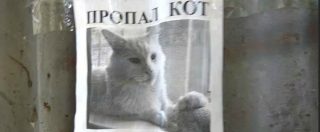 Copertina di Il gatto è scomparso ma il manifesto per ritrovarlo è inquietante. Tutta colpa di un’illusione ottica