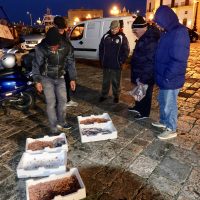 Si compra il pesce appena portato dai pescatori sulla piazza Aldo Moro.