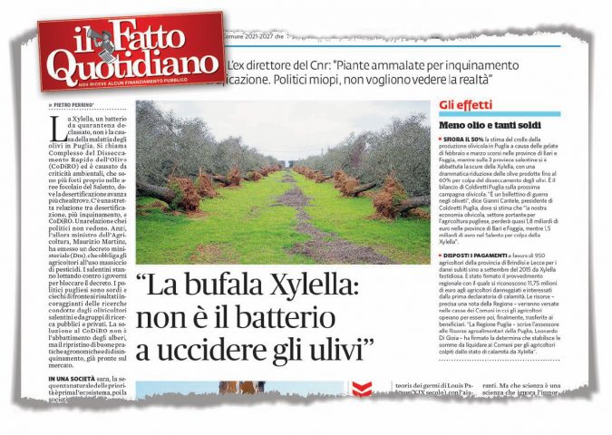L’intervento - L’articolo di Perrino, ex direttore del Cnr di Bari, pubblicato sul Fatto di domenica 17 giugno - “È Xylella a uccidere gli ulivi”. Ma non ci sono certezze