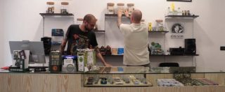 Copertina di Cannabis light, Ezio e Fabio: “Fermare la vendita? Ci siamo licenziati per puntare su questo settore. Siamo spiazzati, ci opporremo”