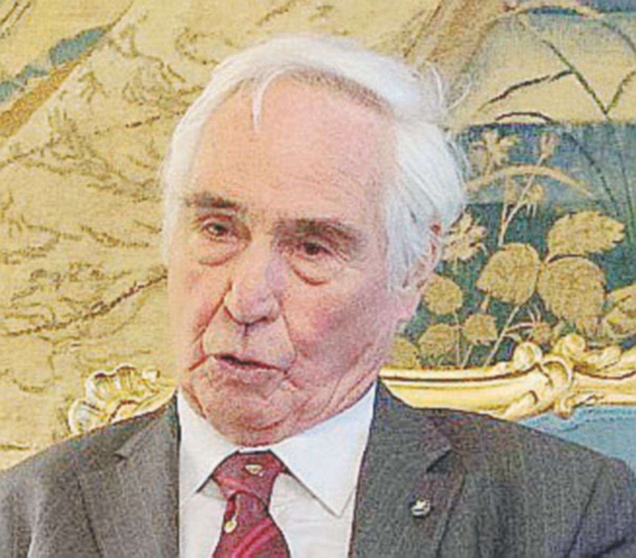 Copertina di “Pecore e asini sono grandi tosaerba soft”