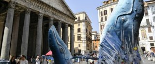 Copertina di Roma, al Pantheon due balene ricoperte di plastica: l’azione di Greenpeace. “E’ rifiuto più presente sulle spiagge italiane”
