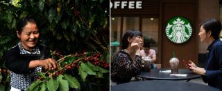 Copertina di Cina, caffè sta prendendo il posto del tè: piantagioni raddoppiate e 600 Starbucks in un anno. E’ il simbolo dei borghesi