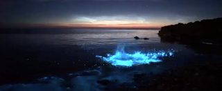 Copertina di Effetti speciali o magia naturale? Il mare diventa blu elettrico, il curioso fenomeno ripreso sulle coste del Galles