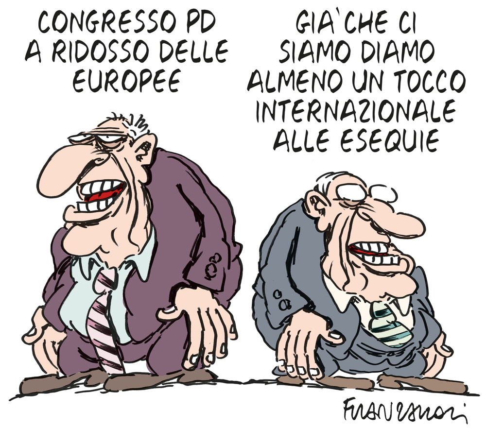 Copertina di La vignetta di Franzaroli