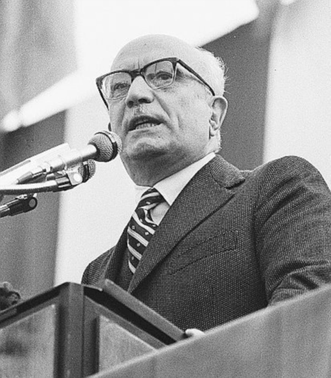 Amintore Fanfani - Ansa Padre Gemelli, Fanfani e gli altri “razzisti”