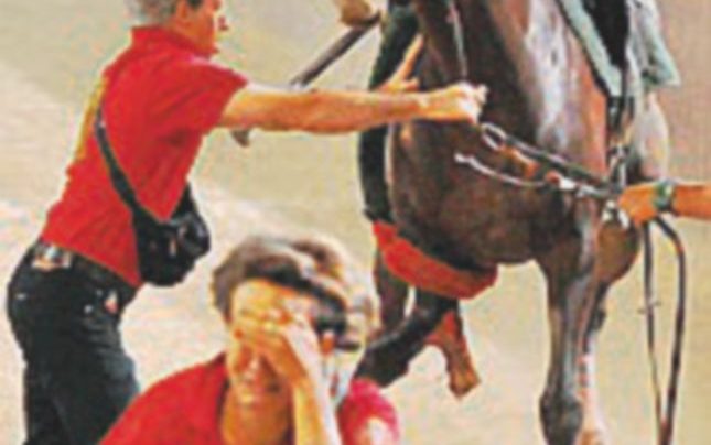 Purosangue abbattuto - L’infortunio di Golden Storming nel 2014 - Ansa #Disertalagiostradell’orso: gli animalisti invitano a boicottare il Palio di Pistoia