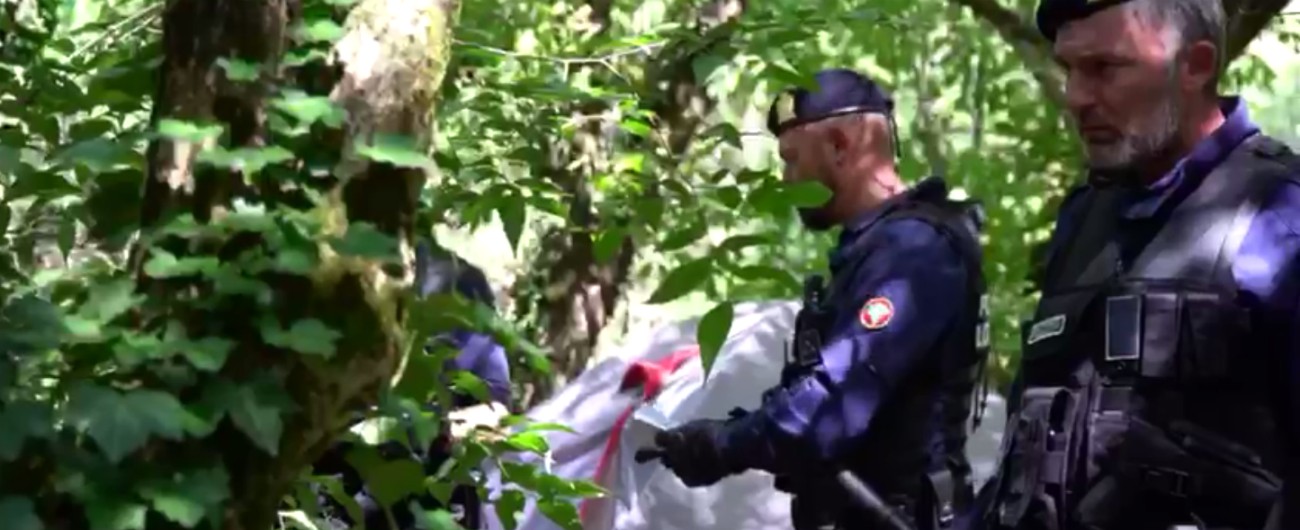 Copertina di Milano, maxi controllo di Carabinieri e Polizia locale nel boschetto di Rogoredo tra tossici e degrado