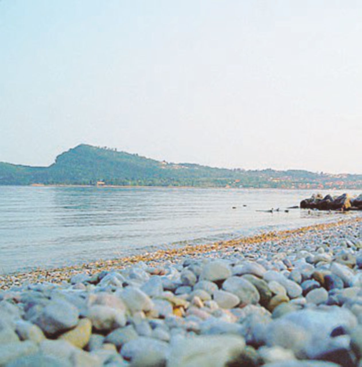 Copertina di Quel ramo del Lago che tende alla siccità